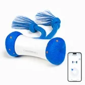 Cheerble Wickedbone Air dog toy